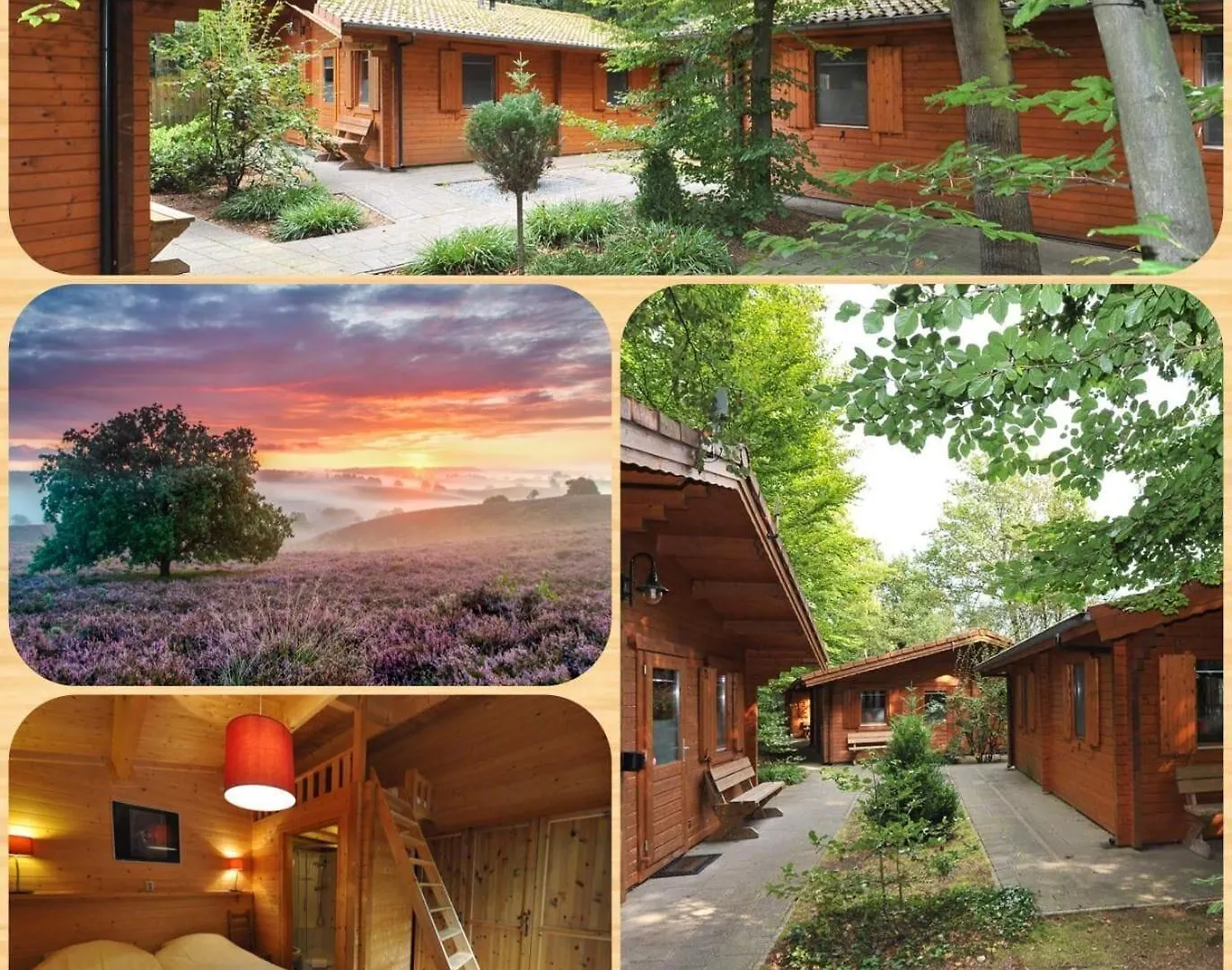 Waar te Verblijven op de Veluwe: 7 Hotels voor Stellen